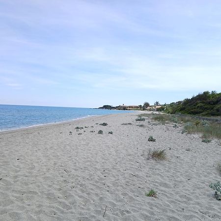 Terres De France - Les Hauts Du Maquis Linguizzetta Ngoại thất bức ảnh