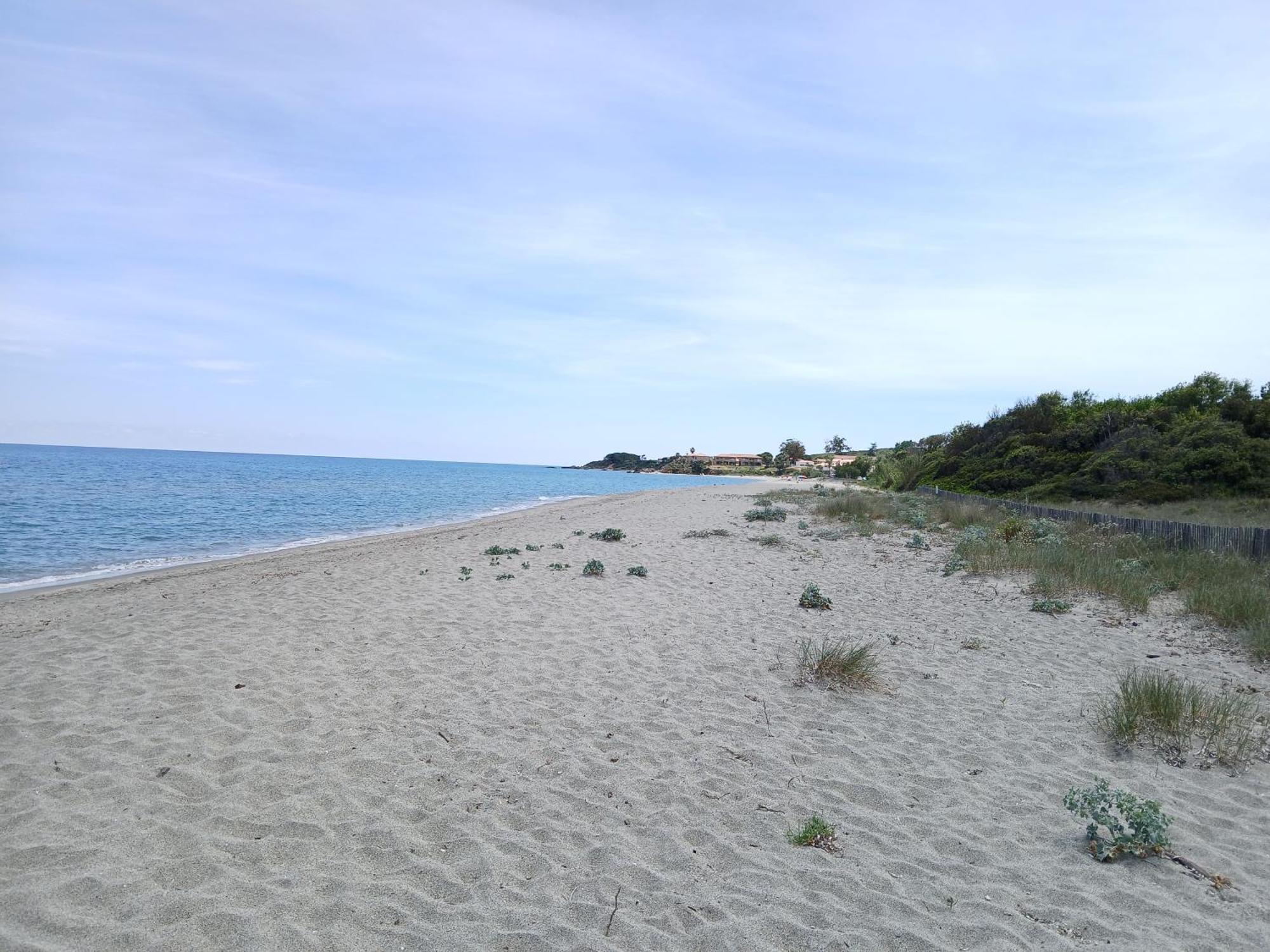 Terres De France - Les Hauts Du Maquis Linguizzetta Ngoại thất bức ảnh